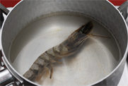 토마토덮밥 만들기 4단계